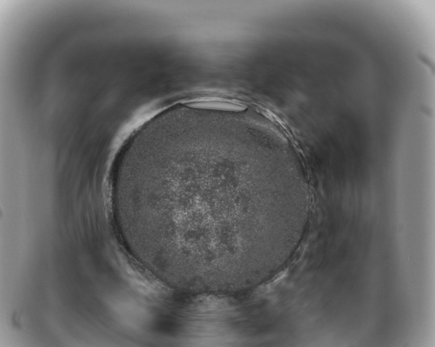 X0000095920343200801181422