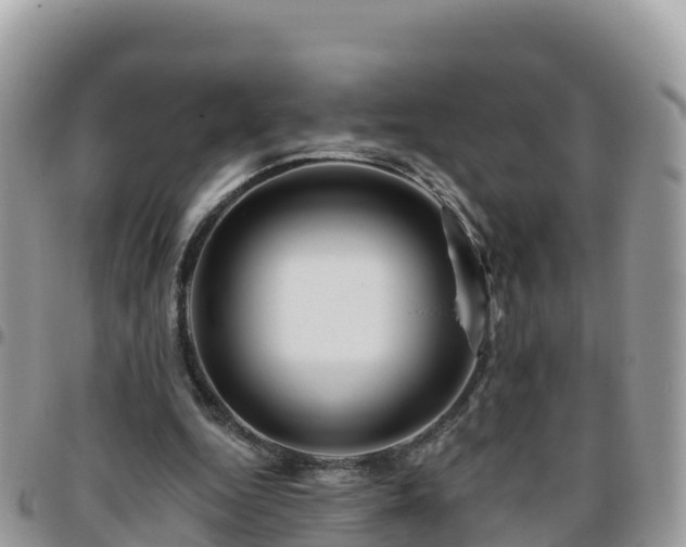 X0000095920344200801181422