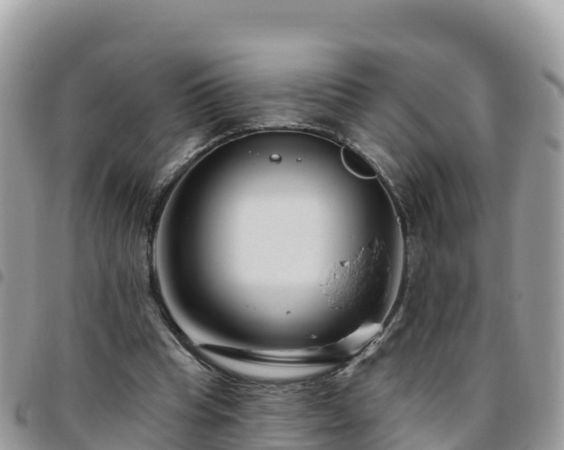 X0000095920345200801181422