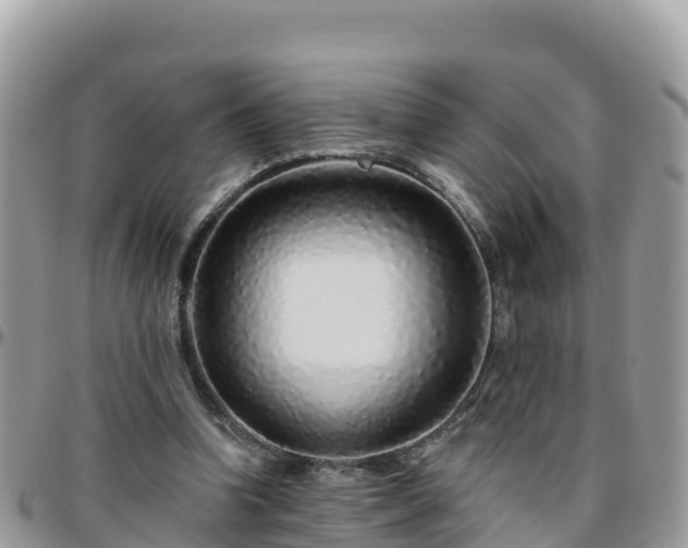 X0000095920346200801181422