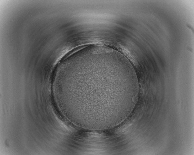 X0000095920347200801181422