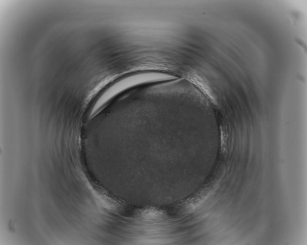 X0000095920348200801181422