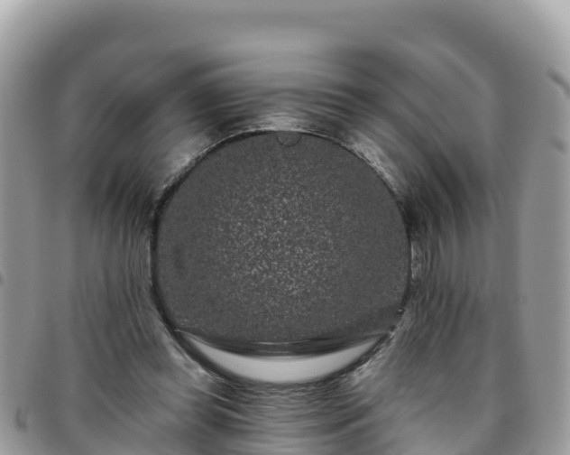 X0000095920349200801181422