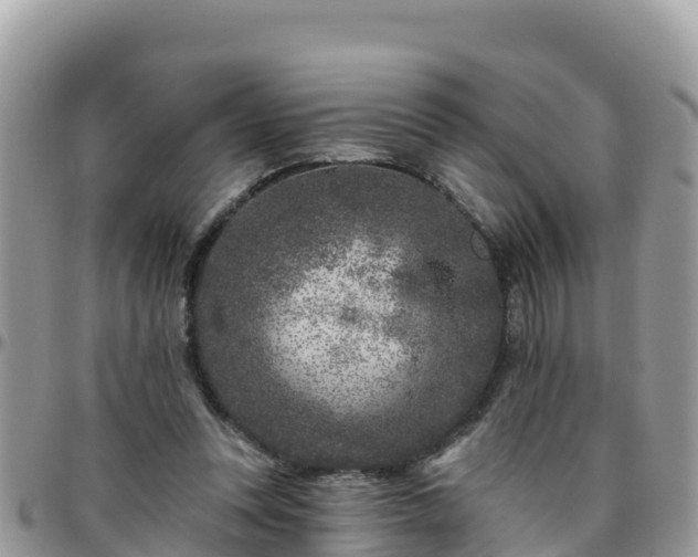 X0000095920351200801181422