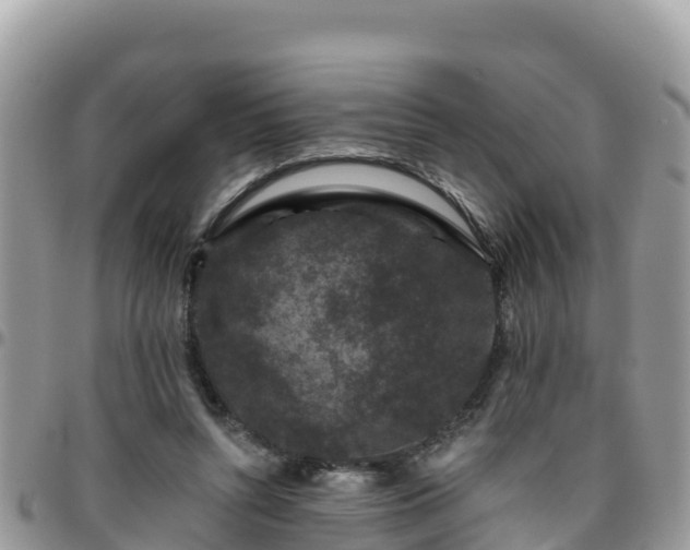 X0000095920352200801181422