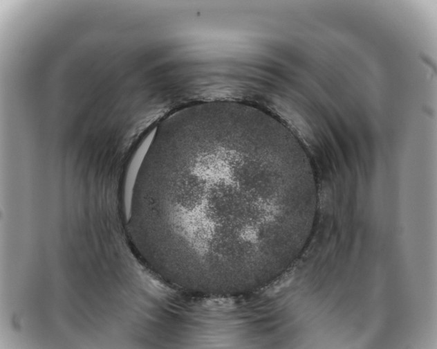 X0000095920353200801181422