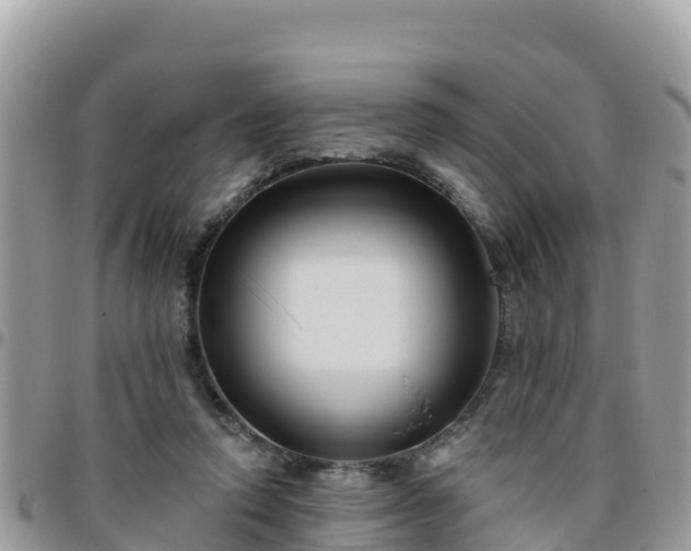 X0000095920354200801181422