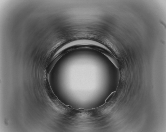 X0000095920356200801181422