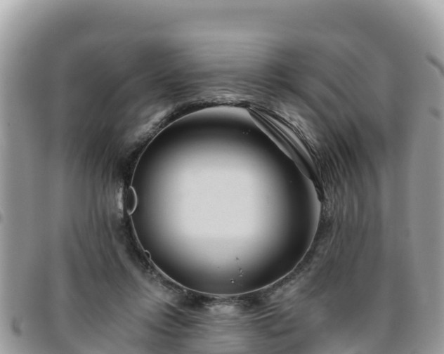 X0000095920358200801181422