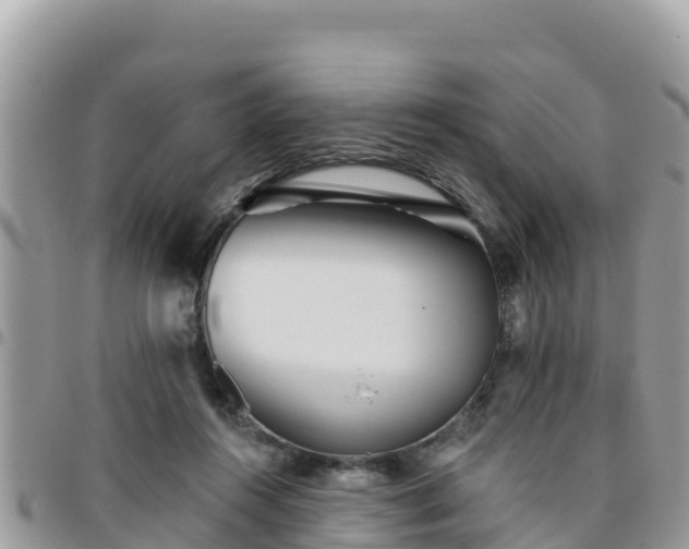 X0000095920360200801181422