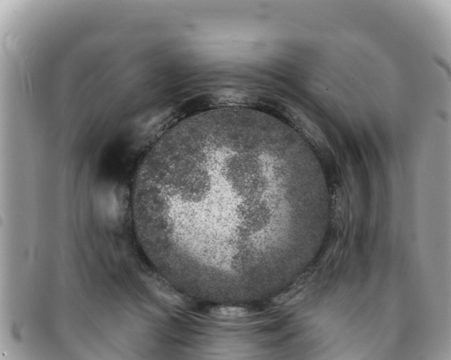 X0000095920361200801181422