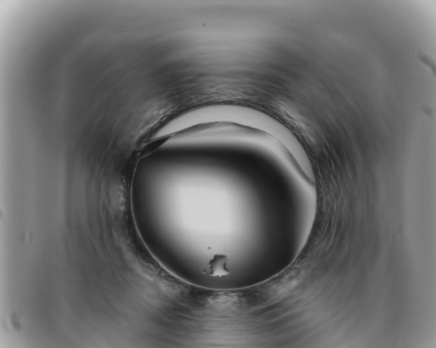 X0000095920362200801181422