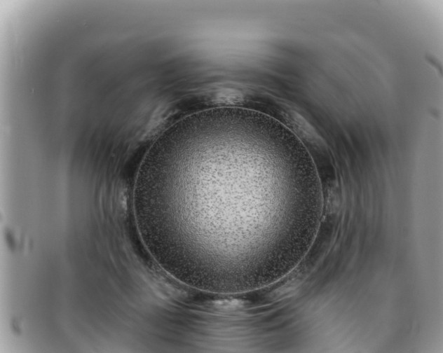 X0000095920363200801181422