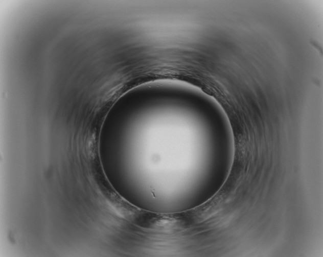 X0000095920364200801181422