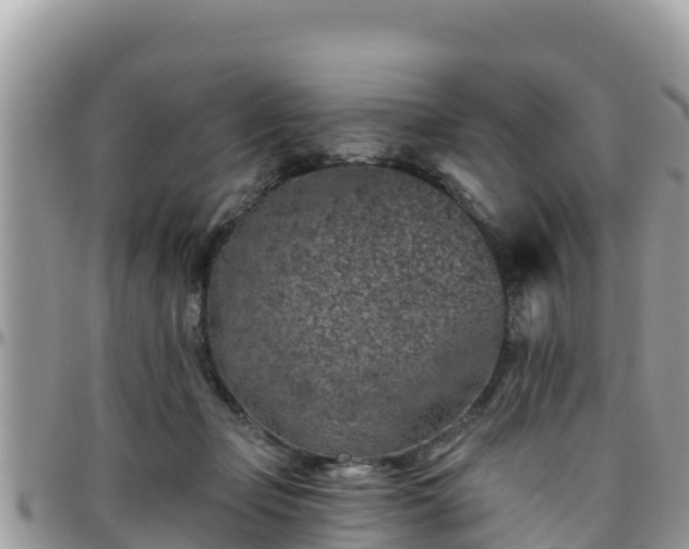 X0000095920365200801181422