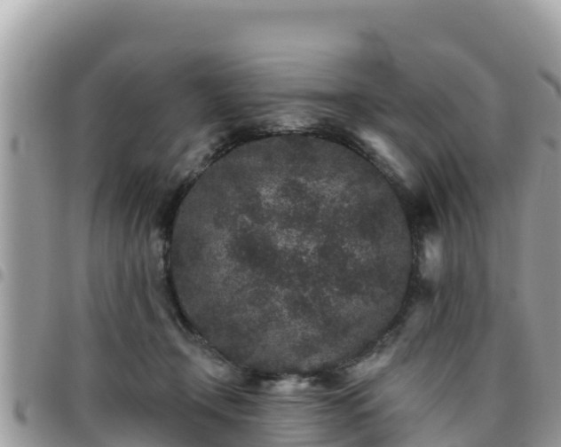 X0000095920366200801181422