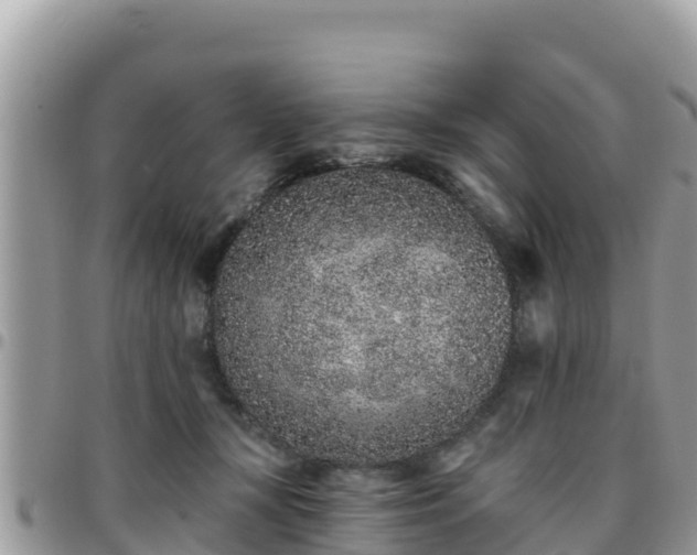 X0000095920367200801181422