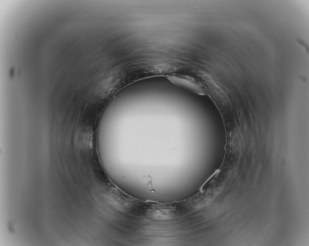 X0000095920368200801181422