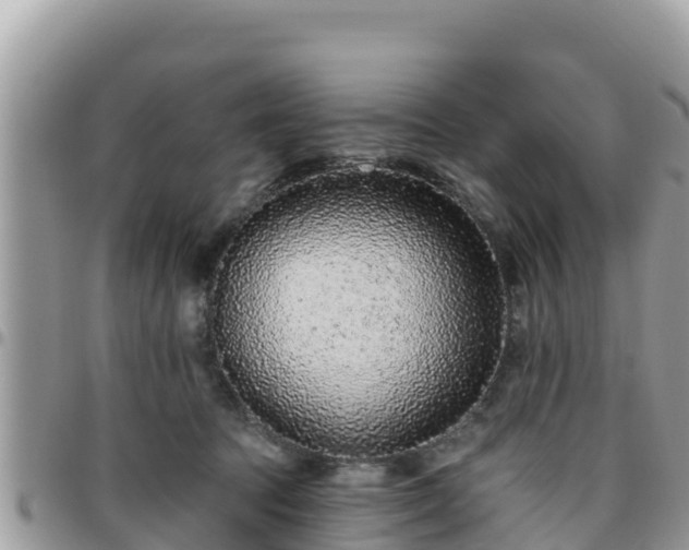 X0000095920369200801181423