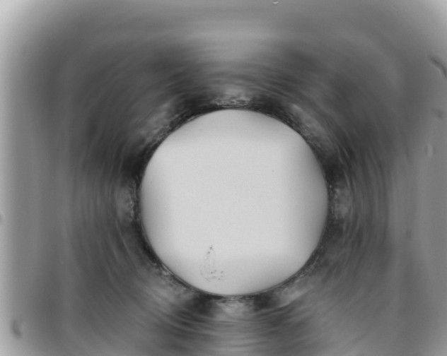 X0000095920370200801181423