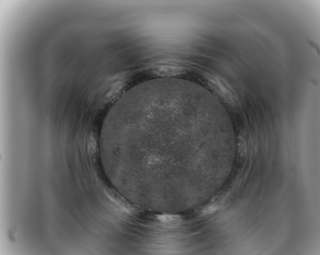 X0000095920371200801181423