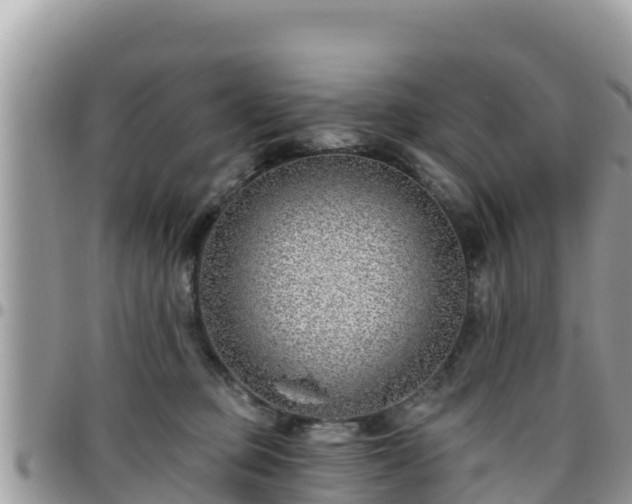 X0000095920373200801181423