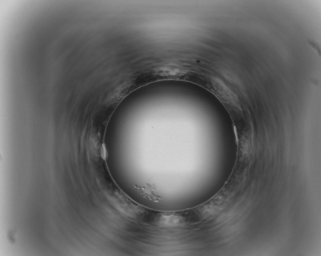 X0000095920376200801181423