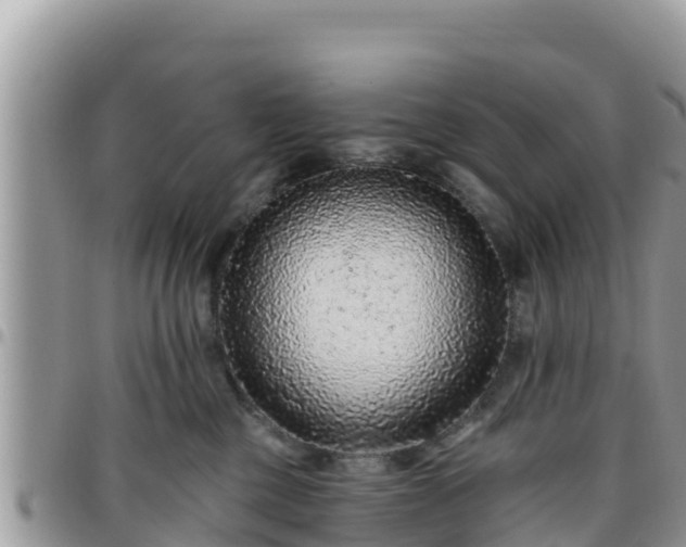 X0000095920377200801181423