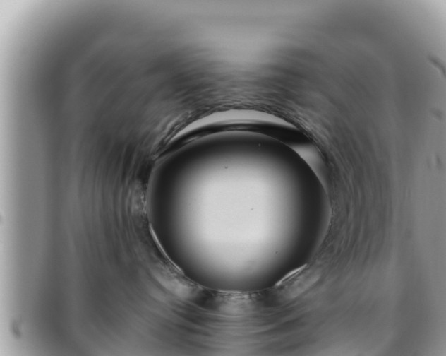 X0000095920384200801181423