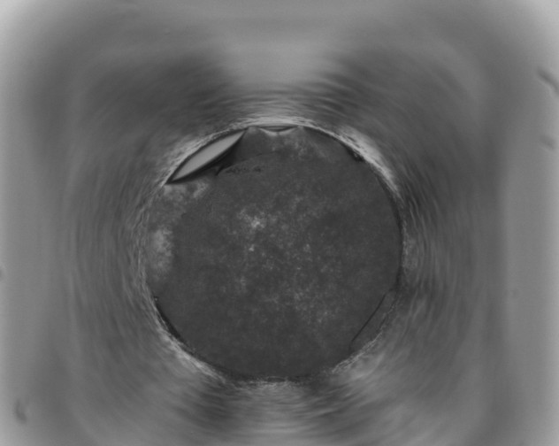 X0000095920385200801181422