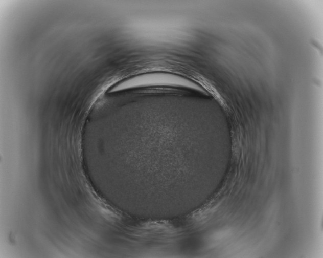 X0000095920386200801181422