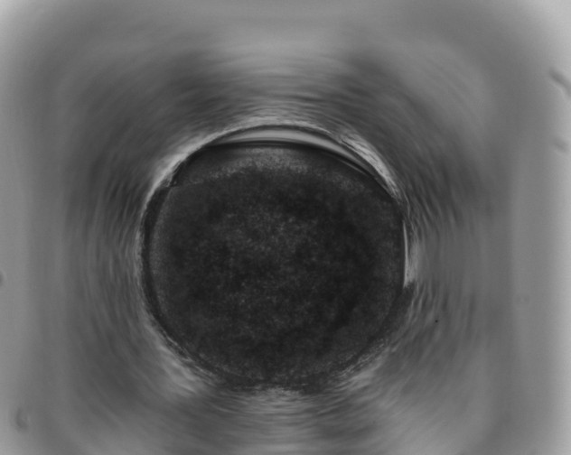 X0000095920387200801181422