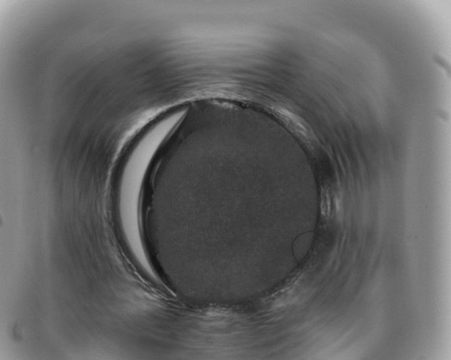 X0000095920388200801181422