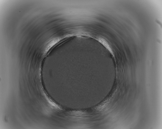 X0000095920389200801181422