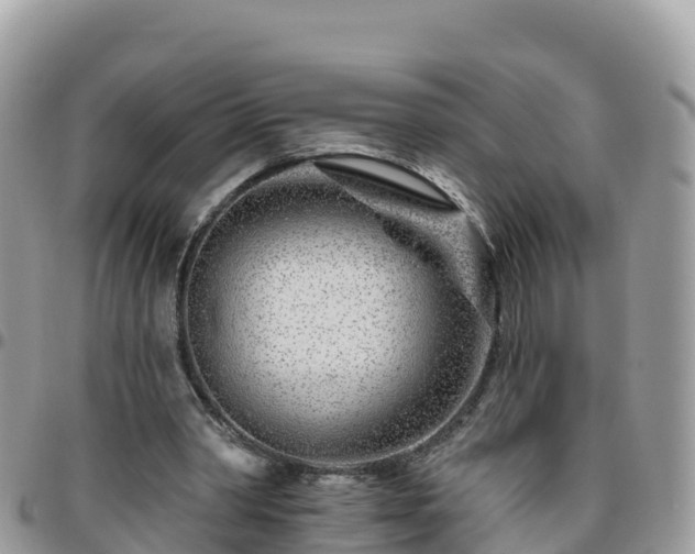 X0000095920390200801181422