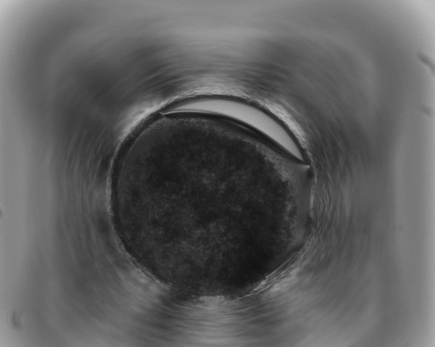 X0000095920391200801181422