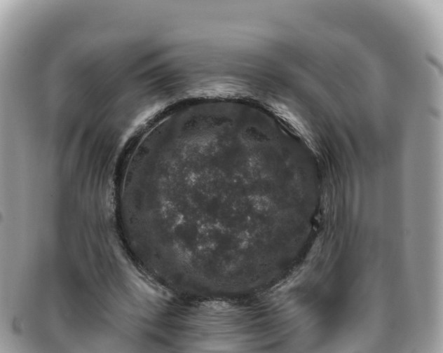 X0000095920392200801181422