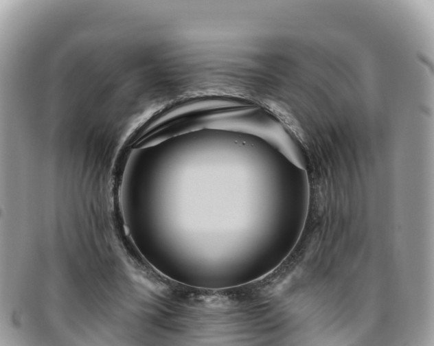 X0000095920395200801181422