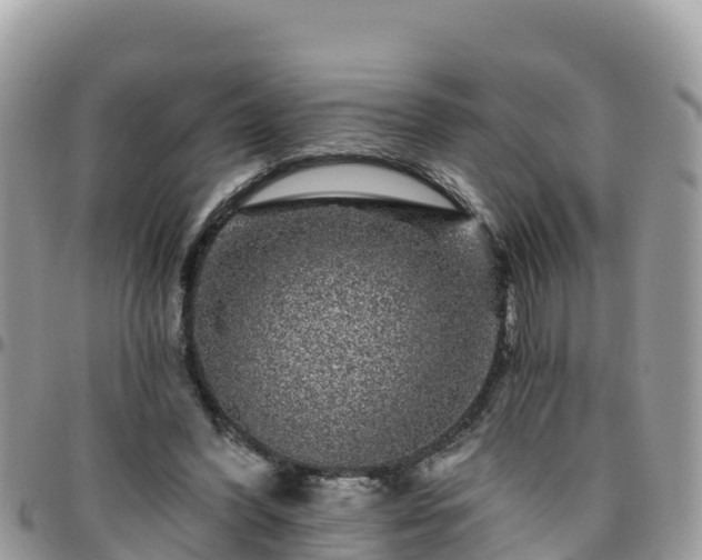 X0000095920396200801181422