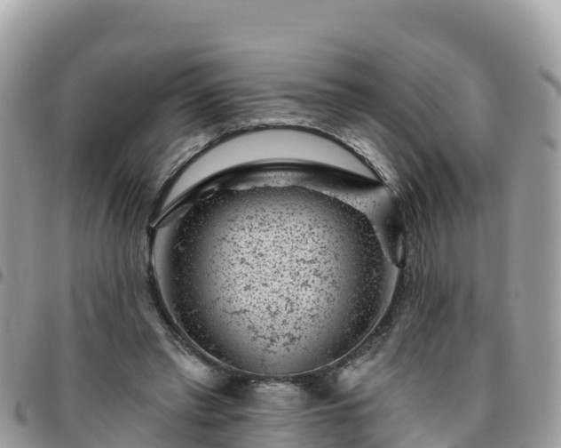 X0000095920397200801181422