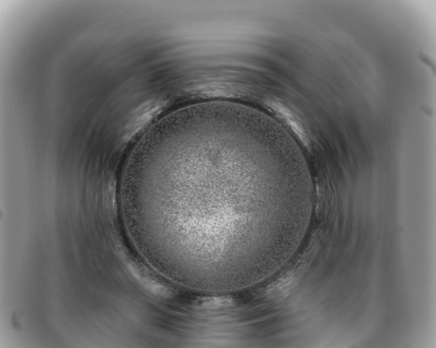 X0000095920398200801181422