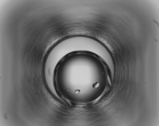 X0000095920399200801181422