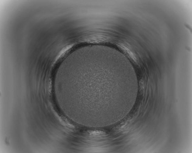 X0000095920400200801181422