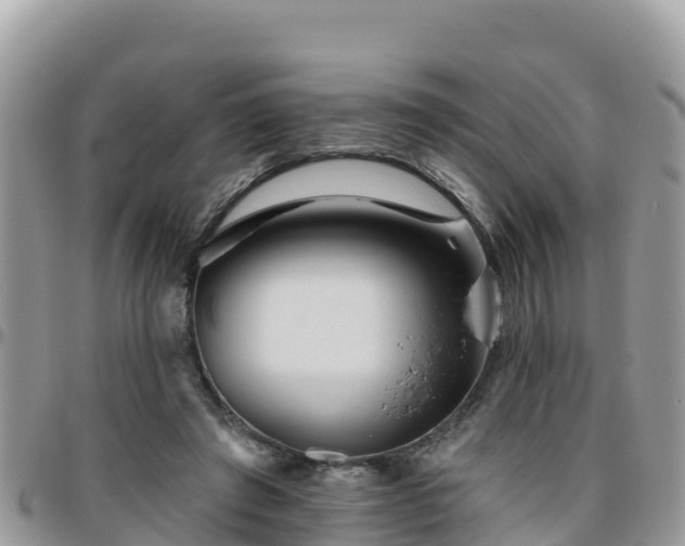 X0000095920401200801181422