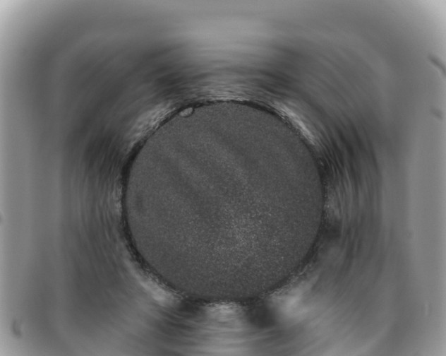 X0000095920402200801181422