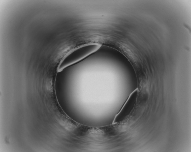 X0000095920403200801181422