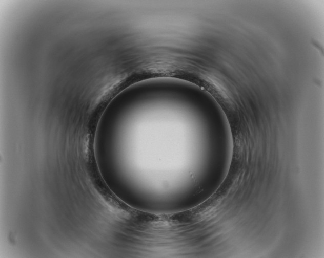 X0000095920404200801181422