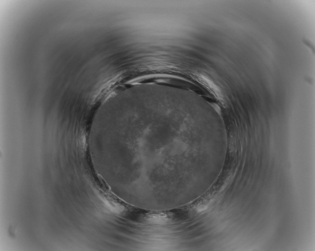 X0000095920405200801181422