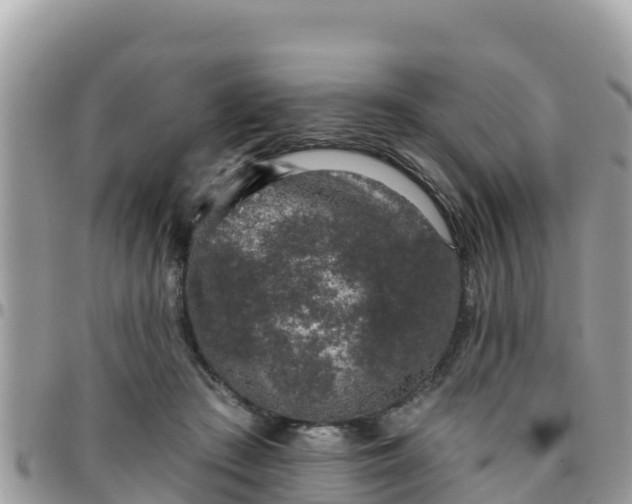 X0000095920409200801181422