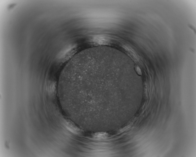 X0000095920410200801181422